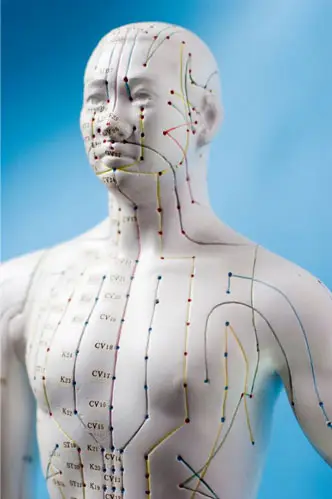 Puntos de acupuntura 500 en el cuerpo humano